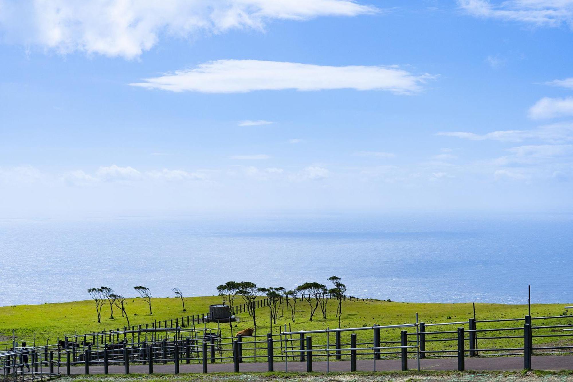 Villa Hachijyo-Island Blue Eight -八丈島ブルーエイト- Mitsune Esterno foto